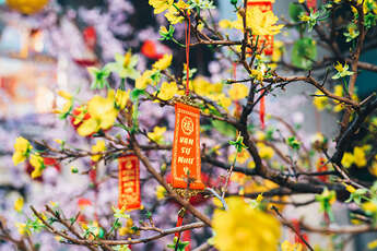 Preparations for the traditional Tet, the Vietnamese New Year