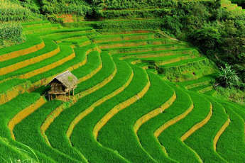 Top 10 activities in Sapa