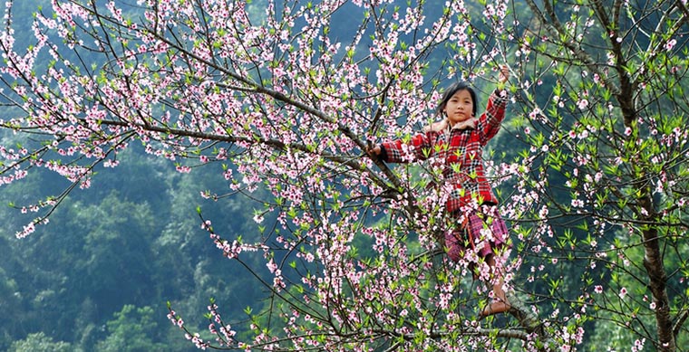 Dong Van stone plateau, the terrific beauty of Ha Giang 