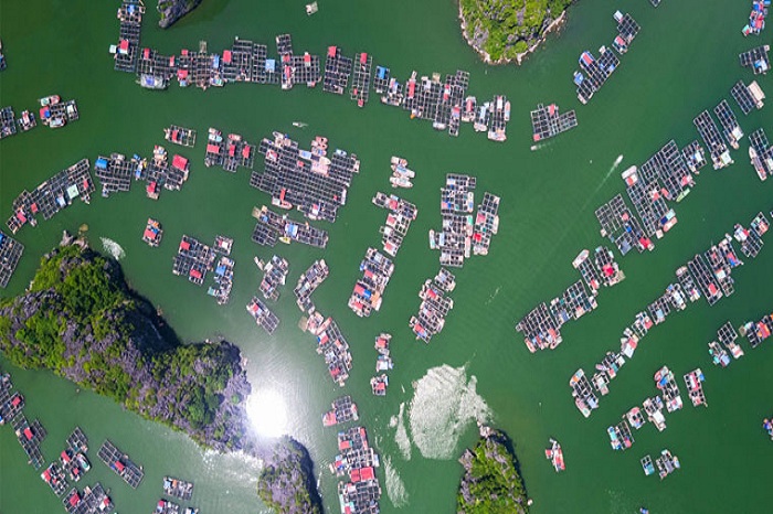 Two must-see fishing villages on Cat Ba Island