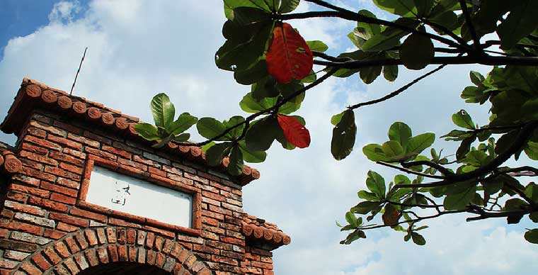  Fito Museum - The museum of Traditional Medicine in District 10 Saigon (HCMC)