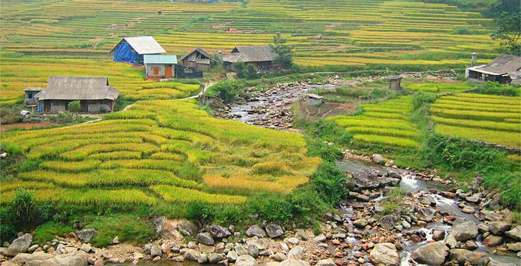 Wonderful rice terraces in Sapa Vietnam