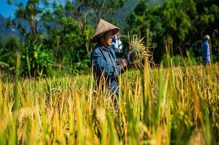 Visit Mai Chau in 2 or 3 days, what to see and do?