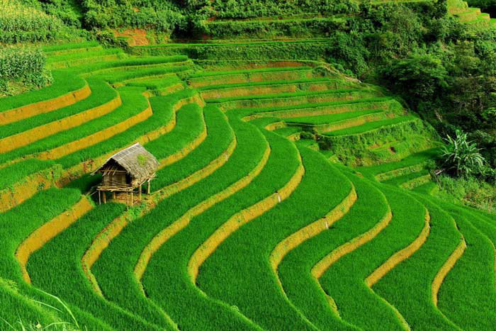 Top 10 activities in Sapa