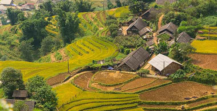 Why travel to Vietnam ?