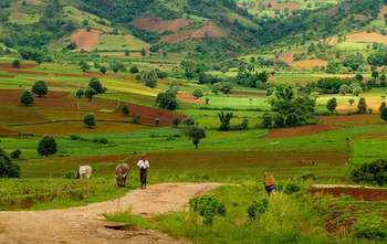 Kalaw - Trekking - Transfer to Inle lake (B/L/-)