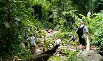 Luang Prabang â€“ City Tour â€“ Khuang Si Fall (B/-/-)