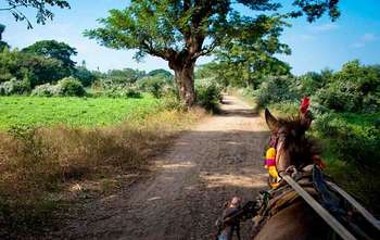 Bagan - Fly to Mandalay - Sagaing - excursion to Inwa - Amarapura (B/-/-)