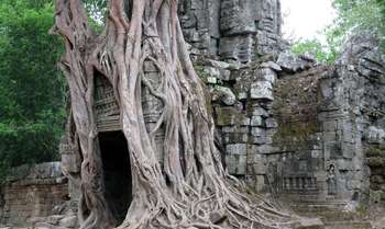 Siem Reap - Rolous Group - Banteay Srei (B/-/-)