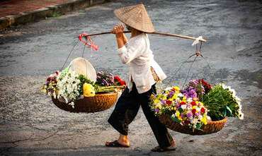 Amazing Vietnam