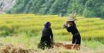 /que-visitar-tour-vietnam-14-dias