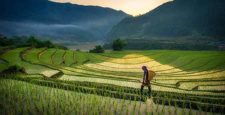 4 buenas razones para viajar a Vietnam en temporada baja
