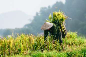 Lo Mejor de Viajar por Vietnam – Parte 1