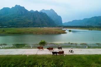 La reserva natural de Van Long: Una bahía serena en Ninh Binh