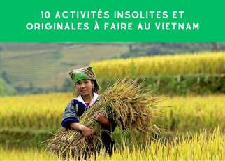 Las 10 actividades insólitas y originales para hacer en Vietnam