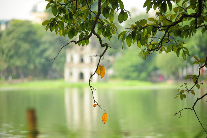 5 razones para viajar a Vietnam en otoño