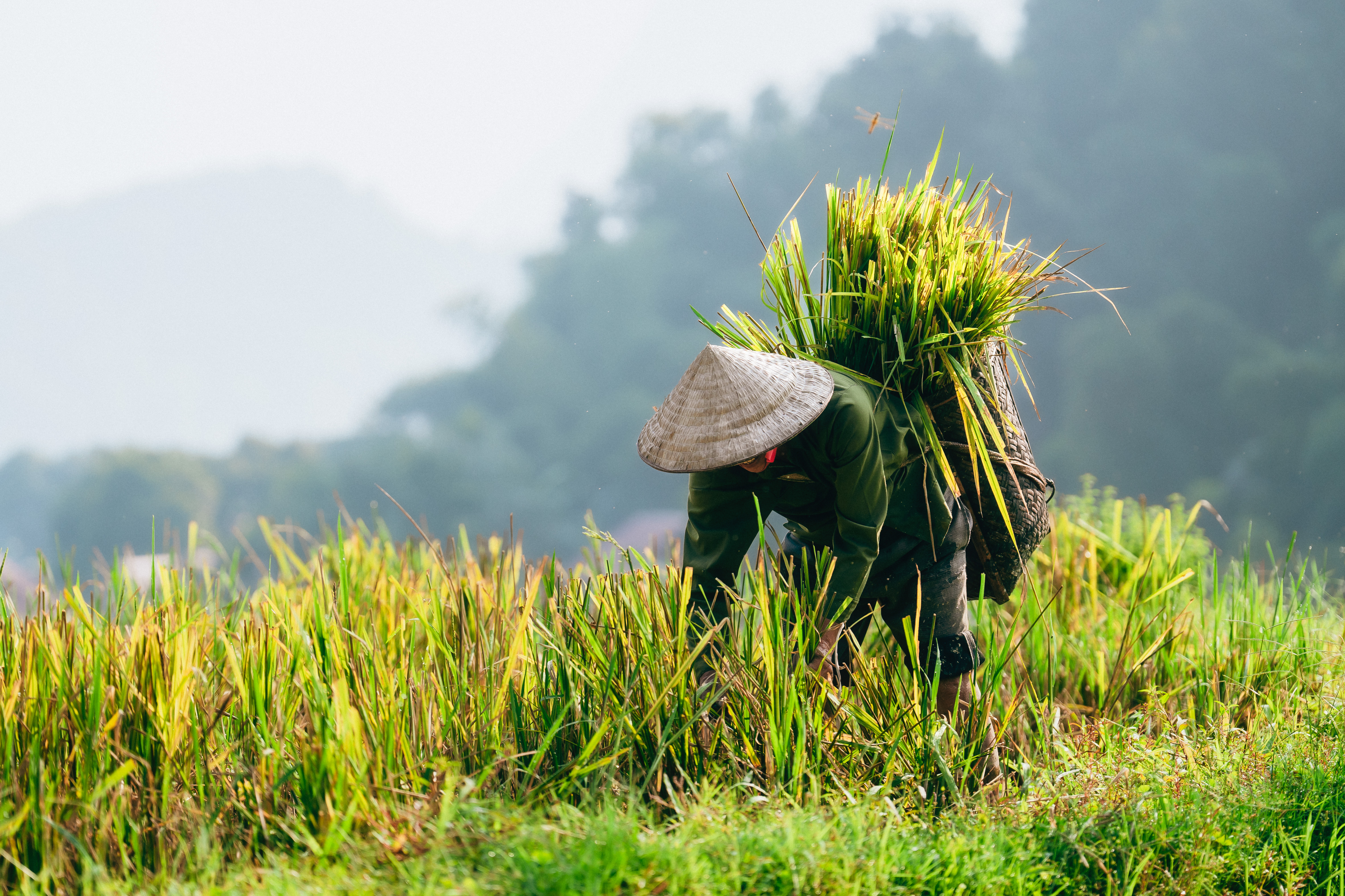 Lo Mejor de Viajar por Vietnam – Parte 1