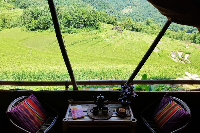 ¿Dónde dormir en Pu Luong para admirar los campos de arroz amarillo durante la cosecha?