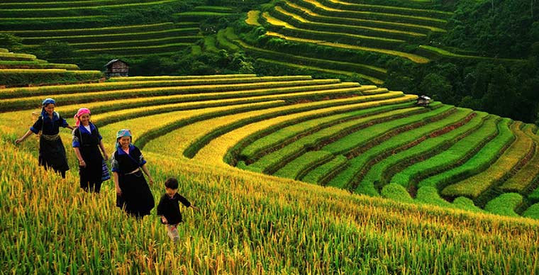 Los mejores consejos para viajar a Vietnam en octubre y noviembre