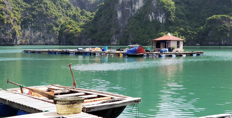 Top 3 pueblos pesqueros que debes visitar en la Bahía de Halong