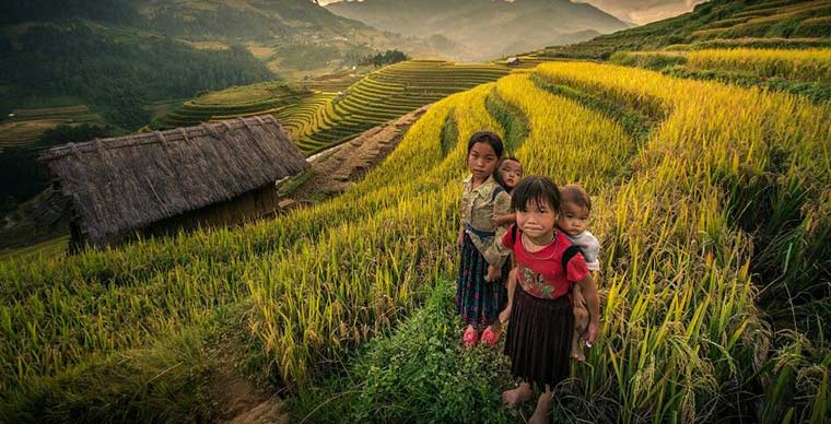 Terrazas de arroz de Mu Cang Chai | Obra maestra de los Hmong