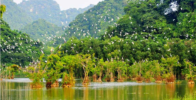 Thung Nham | Un ecosistema excepcional de Ninh Binh