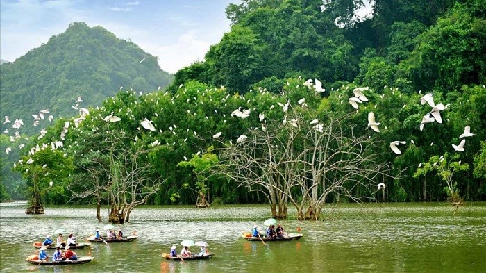 Atracciones de Ninh Binh Thung Nham