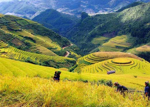 Las 10 mejores ideas para visitar Vietnam