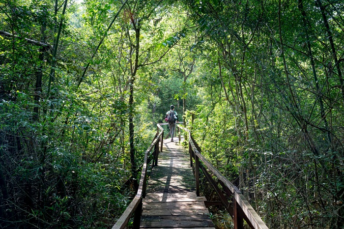 Las 11 mejores reservas mundiales de biosfera en Vietnam