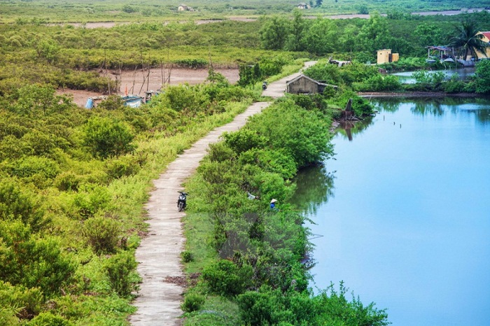 Las 11 mejores reservas mundiales de biosfera en Vietnam