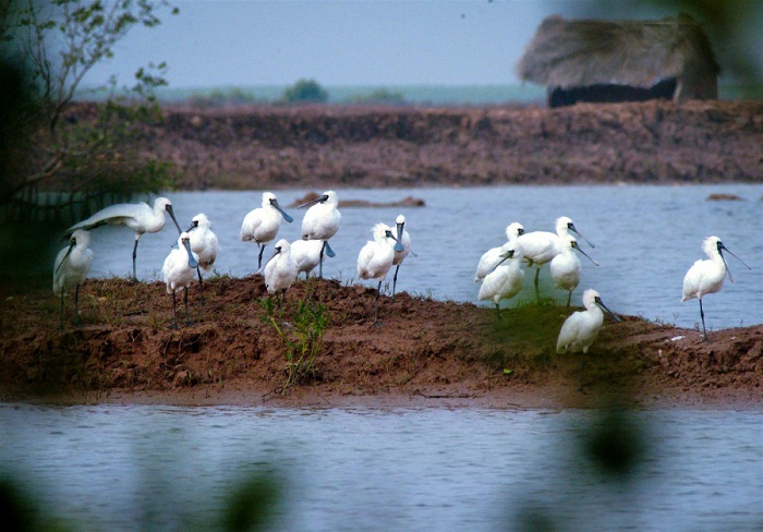 Las 11 mejores reservas mundiales de biosfera en Vietnam