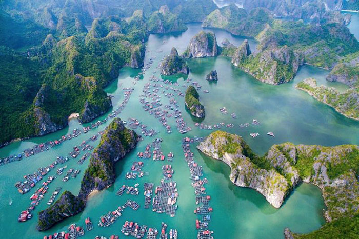 Los 8 mejores parques nacionales de Vietnam para un viaje orientado a la naturaleza