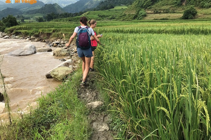 Las 9 mejores rutas de senderismo en Vietnam