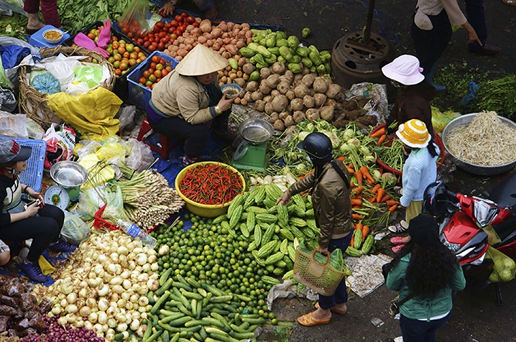 8 buenas razones para ir de viaje a Vietnam