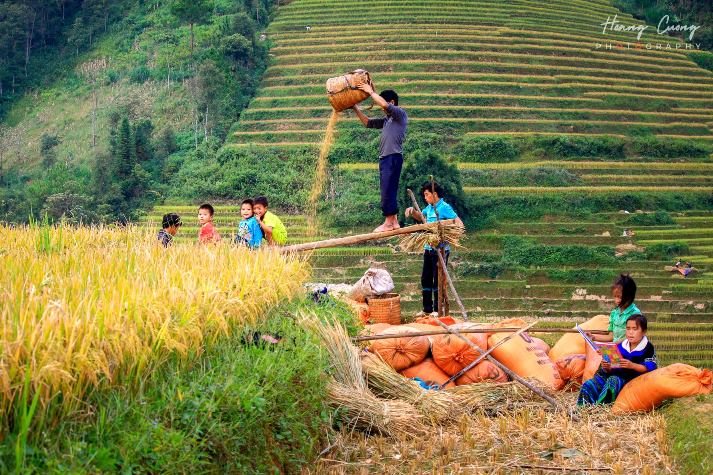 Tour de Vietnam: ¿Qué ruta? ¿Qué hacer? ¿Cuántos días?