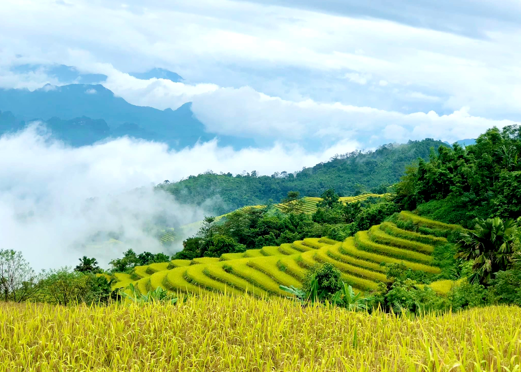 Khuoi My atrae a sus turistas con un paisaje fresco y tranquilo. Foto de : Quynh Huong