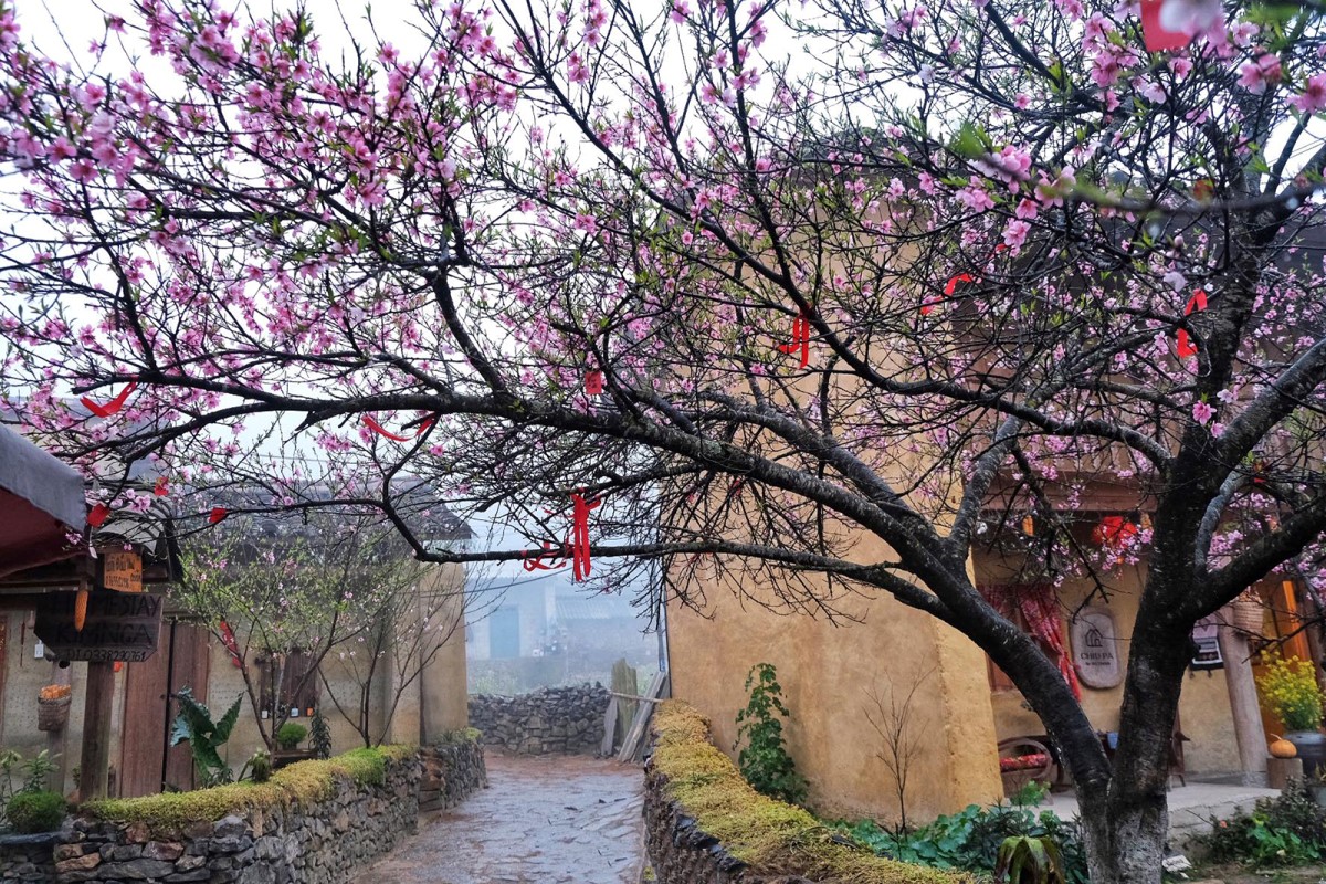 Lo Lo Chai ha sido reconocida como “Aldea Cultural y Turística” de Ha Giang. Foto de : Vnexpress