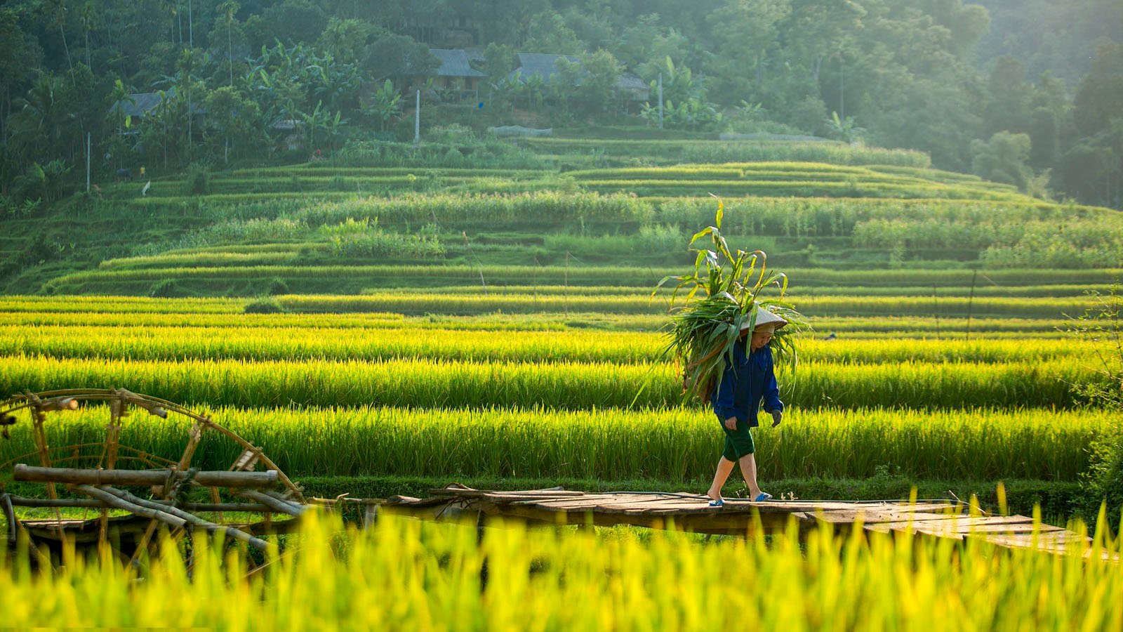 Pù Luông, naturaleza intacta y terrazas de arroz espectaculares