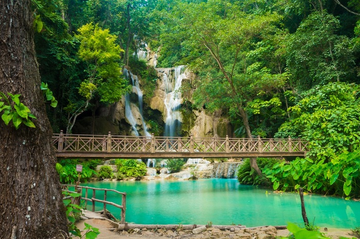 Puente en las cataratas de Kuang Si Laos