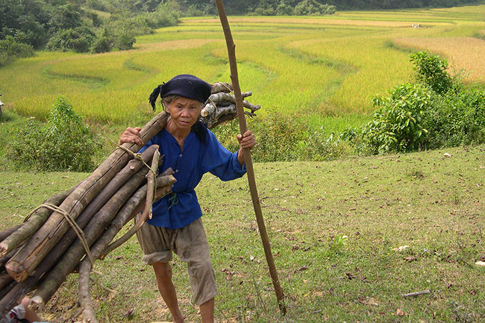 Las 5 caminatas más hermosas en el norte de Vietnam