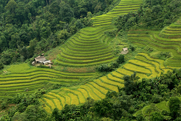 Las 5 caminatas más hermosas en el norte de Vietnam