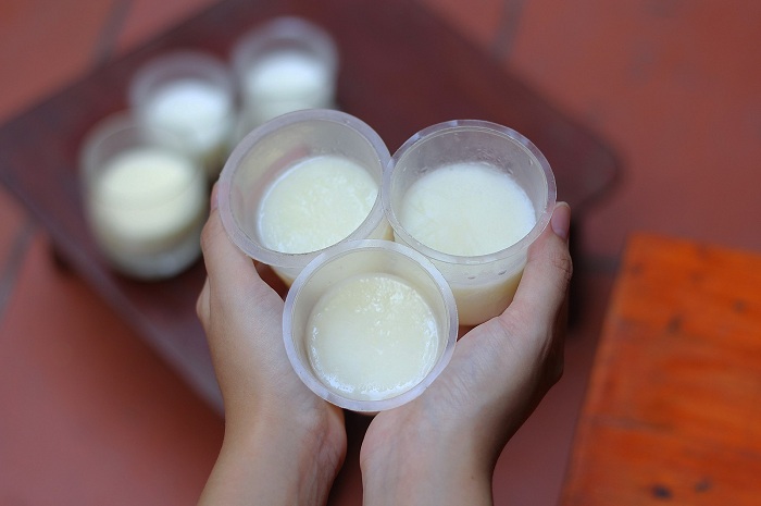 Yogur en vietnam Sua chua