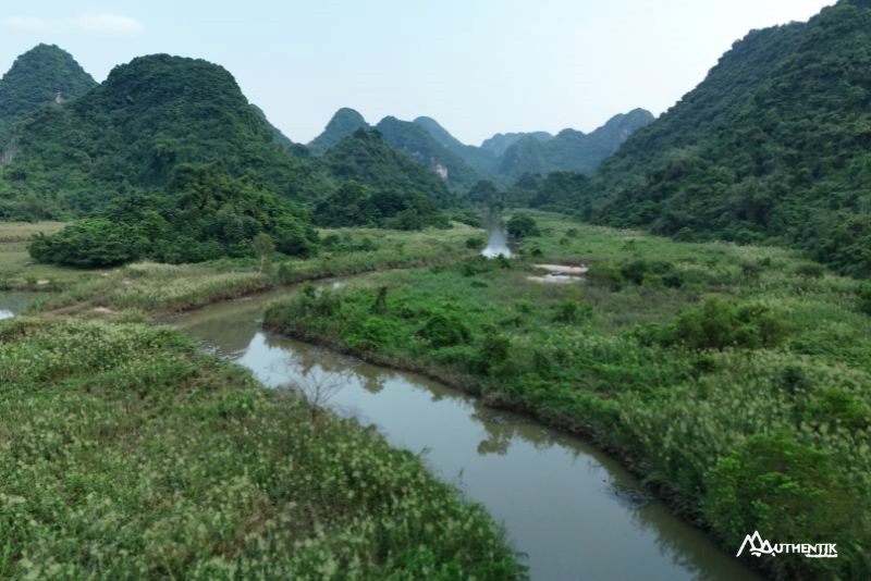 Thung Nham: territorio de miles de aves en Ninh BInh