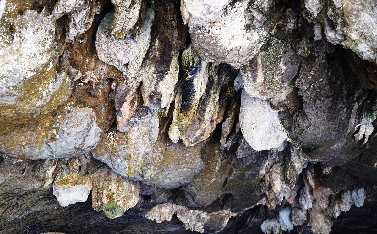 La Cueva de Buda de Thung Nham- Ninh Binh está clasificada entre las hermosas cuevas naturales de Vietnam