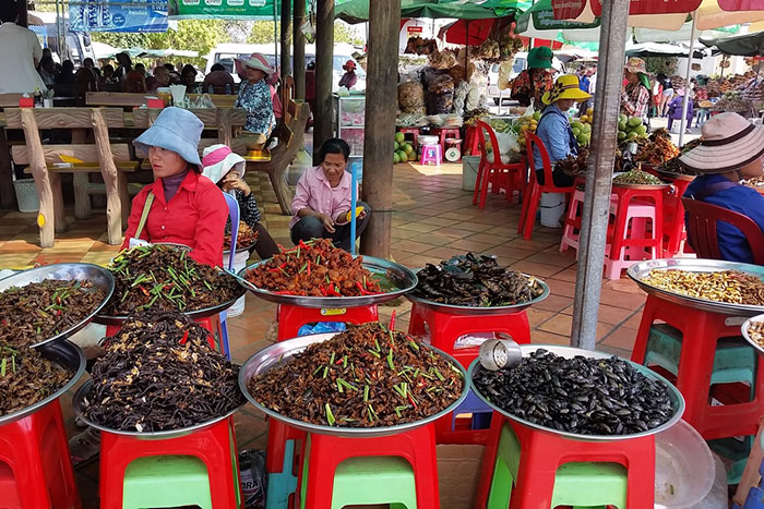 Trasladarse de Nom Pen a Siam Reap mercado de insectos de Skun