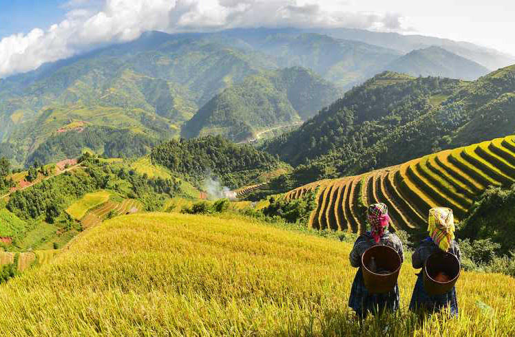 Trekking Vietnam: ¿Dónde hacer trekking en Vietnam?