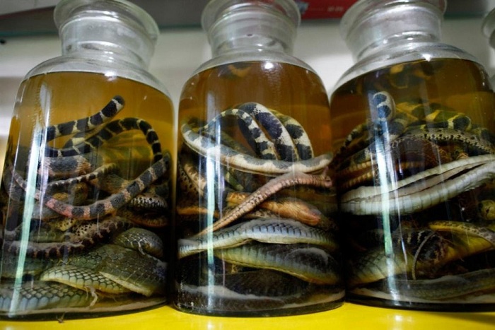 Vino de serpientes en botellas