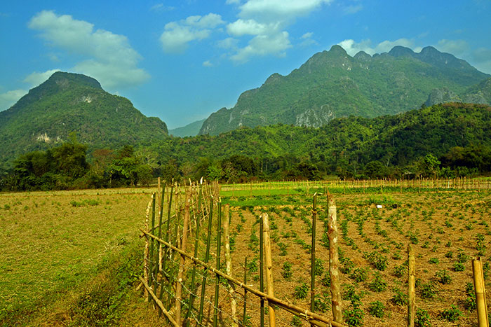 Visitar el campo de Vang Vieng en Laos