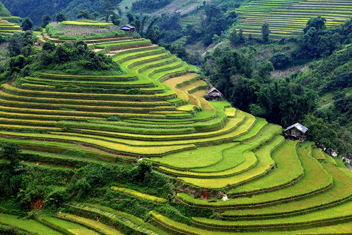 Los 10 lugares imperdibles de Vietnam