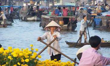 Descubrimiento de Tesoros de Vietnam